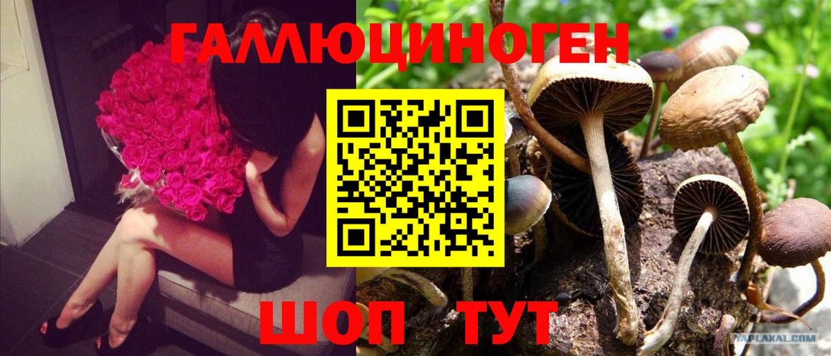 Саки  Галлюциногенные грибы MAGIC MUSHROOMS  Вход с VPN 
